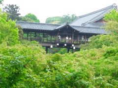 雨のなか、東寺と東福寺へ(^_^)