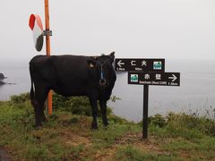 隠岐島前旅行記　　～　知夫里島　～