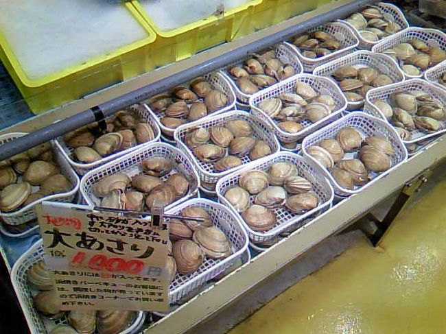 母子旅 知多半島の魚市場 魚太郎 へ行ってきました 美浜 愛知県 の旅行記 ブログ By ヒロヘイさん フォートラベル
