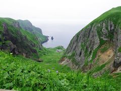 2013年6月　花の浮島礼文へ　3日目−1