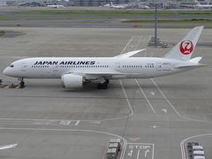 シンガポール弾丸B787搭乗記　⑤JL036便　B787エコノミークラス♪ 