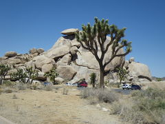 南カリフォルニアゆったり旅（２０１３年ＧＷ）。。。その１０「JOSHUA TREE NATIONAL PARK」