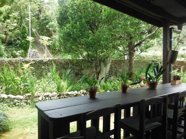 沖縄in２日目。　朝早くから行動開始！（笑）<br /><br />レンカター屋さんのスタッフから「美味しい沖縄そばのお店、ナビに入れておきましたから〜」との情報を貰っていたので、２日目の朝食は「沖縄そば」に決定していた主人。<br /><br />曇り空から日差しもあり、今日も空梅雨に感謝！！<br /><br />「この道でいいの？」とナビと主人を信用しない私をよそに、とてつもなく。。。ヘンピな道を行く。<br />あったあった！　の主人に　？？　　の私。　でも、あったけど〜。（笑）<br /><br />駐車場に車を止めていると、中からスタッフが覗いているような・・・。<br />こんなに朝早くから、お客様はこないのか？（汗）<br />一軒家のようなお店。店内に入って直ぐに製麺機があり、奥が客室になっている。<br />メニューはどれを見ても美味しそう〜。<br />注文後に店内を散策して、写真を撮らせてもらう。<br />お料理は、朝からも「美味し〜。幸せ！」と思える優しい沖縄そばだった。<br /><br />その後やんばる地区（北部）に向かって、当ての無いドライブ。<br />何かあるといいな〜って感じで鼻をクンクンしながらドライブするから、退屈しない。（笑）<br /><br />今まで走っていない道で、パン屋さん発見！<br />もちろん、小腹が減った時ようにパンを購入しておく。<br /><br />また、走りだし。。。主人の「ランチはパン？」の言葉に「ＮＯ〜」の答えを私は言うが、どこに行くか決めていないし、お店もない。（汗）<br /><br />が、目の前に「パイナップル￥１００」の文字が飛び込んできた。<br />もちろん、車を止めて、パイナップルを購入。<br />実際は「大きい方が甘いよ〜！」とオジサマが教えてくれたので、￥３００のを購入した。<br />But、オジサマが「おまけだよぅ」と￥１００のパイナップルもくれて２個になった。<br />車のなかが、と〜ても甘いパイナップルの香に包まれた。<br /><br />パイナップルの匂いで余計にお腹が減ってきたので、「スマホに変更しておいて、よかった！」とググって周辺のお店を探す。<br /><br />食堂発見！！<br /><br />でも・・・無理？かもしれないって思える外観。（大変申し訳ありません）<br />そんな、主人と私を横目に地元の人と思われる人たちが続々と注文を・・・窓からしてた。（笑）<br />勇気を振り絞り、店内へ。<br />。。。「いらっしゃいませ」も「待ってね〜」とかの声、一切ない！<br />その代わりに、お店から出ようとしていたお客様に「物凄い量だから、注文気をつけて。残ったら、あそこのパックを使って、こうやって持ち帰るんだよ」と指示を受けた。<br /><br />恐る恐る厨房にいる人に「肉そばとポーク玉子」と叫ぶ。<br />が、声はなし！（笑）<br /><br />先に窓から注文していた人のとんかつができたようで。。。って、アレなに？？状態のとんかつだった。<br /><br />もとろん、私達が注文したお料理も「メガ盛りサイズ」だったので、２人で肉そばを必死に食べ、ポーク玉子は全てお持ち帰り→つまり夕食　になった。<br /><br />最初、無愛想なおかみさんだと思ったが、全てを一人でこなしているので、無愛想に感じただけだった。<br />帰り際に「凄く肉そば美味しかったので、また、沖縄に来たら来ますね」と伝えると、素敵な笑顔で見送ってくれた。ほんとうに、メガ盛りの肉そば、美味しかった〜。<br />「次回、注文は気を付けよう〜！」と車の中で、主人と盛り上がった。<br /><br />とりあえず、お腹がいっぱいなので、ドライブをする。<br />５８号線をそのまま進まず、地図でいうやんばるの横断道（多分７０号）に入る。<br />くねくねした山道だが、だ〜〜れもいないので爽快に走る！<br />途中、変なオブジェを発見し、駐車場に車を止めてみた。<br />先に舗装された道があり、行ってみると、また変なオブジェ。<br />しかし、東シナ海と太平洋が左右に見える場所だった。<br />晴天ならば、もっと綺麗な景色なんだろうな〜と思いながら、車に戻る。<br /><br />またドライブしながらカフェで一休みもしたい。と思い、スマホでググる。（笑）<br /><br />山ではないが、森カフェのようなお店を検索し、行ってみた。<br /><br />癒された〜。蚊がいなければ。<br />蚊取り線香がちょっと雰囲気を壊すけど、無いと蚊の餌食、間違いない！し〜。<br />色々な味タピオカ（で、いいのかな？）が美味しかった。<br /><br />ランチ時間も終わっていたので、おかみさんと話す事ができた。（ランチは予約だそうです）<br />昨年の台風で大木が倒れ、野外テラスの屋根を崩壊し、やっと数か月前に再オープンしたとの事だった。<br />今年は大きな台風が上陸しないといいですね。。。<br /><br />お店の裏（？）の階段を登り、少し見える海を眺め気分転換。<br /><br />再度、ドライブする夫婦。（笑）<br /><br />カフェでお茶をしたのに「ぜんざい」が食べたいと思う私。<br />しぶる主人ではないので、そのまま大好きな本部のぜんざい屋さんに向かう。<br />しかし、その途中で心惹かれるビーチの響き。。。<br /><br />ウッパマビーチに寄り道。<br />晴天ではなかったが、海は綺麗だった。<br />ゴミ・・・残念な砂浜。<br />５月の末、さすがに海はまだ冷たかった。<br /><br /><br />車のなかで、「夏にまた来よう〜」と話ながら、目的地の新垣ぜんざい屋さんに到着し、テイクアウトで１個購入。（笑）<br />流石に各１個は無理なお腹だった。<br /><br />ここのぜんざいを車内で食べながら帰路に着いた。<br /><br /><br />早めの夕食はもちろん「ポーク玉子」と「パン」でした。<br /><br /><br />そして、最終便で娘２人が沖縄にやって来る。<br /><br /><br />空港に、迎えにいかないと〜〜。