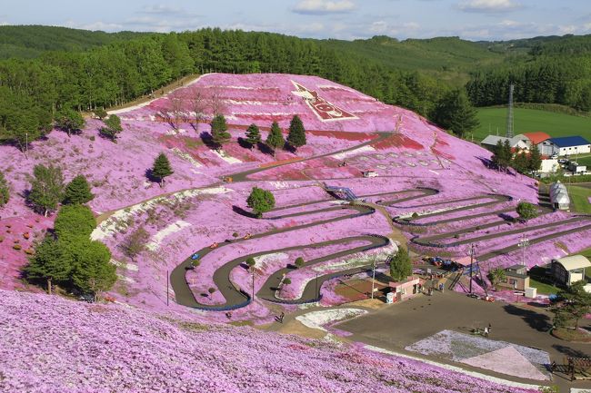 北海道大空町に「東藻琴芝桜公園」があります<br />毎年全国でも最大規模な素晴らしい芝桜に囲まれてとてもきれいです<br />時期が短いためとても貴重です<br />今年は寒さが続いたため少し開花が遅かったです<br />ですが、花火大会もありとても満足です