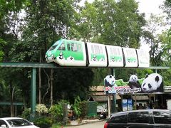 チェンマイ動物園に、パンダを見に行く！