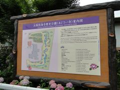 大塚山性海寺歴史公園のアジサイ2013