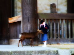 お休み。ほなら、奈良へ行くベー　。。。。(　(;^^)