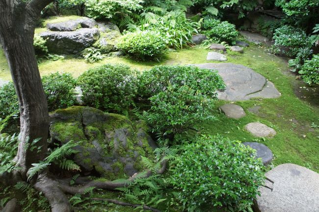 昨日は矢田寺・今井町を回って、今日は京都の街歩き。朝の御倉屋とお昼には詩織庵の予約をしているのですが、逆に言うと、決めているのはこれだけ。後は、適当に街歩きを楽しみます。北山・北大路あたりから堀川通りを下って行って、詩織庵まで。詩織庵の後は、周辺の街歩き。ちょっとバテ気味なので、イノダコーヒーでもゆっくりしてみました。