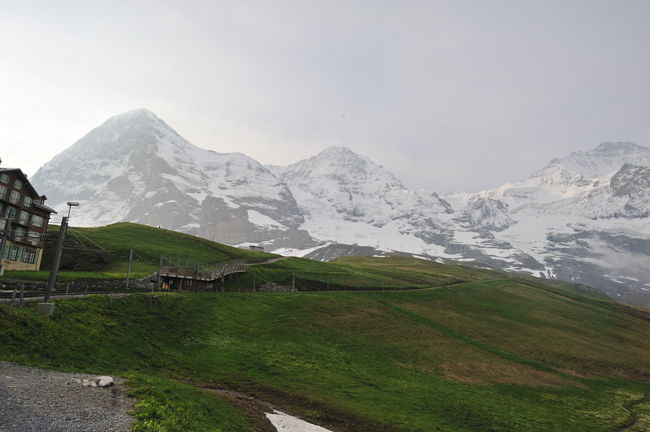 2013年６月21日から7月7日までのスイスの旅です。のんびり夫婦の旅です。花とハイキングを楽しんでいます。<br />スイスからの速報です。<br />帰国後整理し直します。<br />6月27日天気は少し回復していますが、あまり良くないです。今日もクライネシャイデック周辺でハイキングに行くつもりです。朝から少しずつ蜘蛛が捕れてきています。アイガーも綺麗に見えてきました。<br />クライネシャイデックに着くと昨日見えなかったユングフラウが見えます。うれしくなって写真をいっぱい撮りました。<br />突然エコがユングフラウヨッホに上ろうと言い出し、登山電車に飛び乗りました。不安を抱えながら。<br />第一の展望台は霧の中、第二の展望台で見えました。少しわくわくします。頂上は青空はないですが、何とか見えました。これで満足です。<br />アイガートレイルを歩こうと思いましたが、霧と雪の中です。クライネシャイデックまで下山です。<br />クライネシャイデックも霧と雪の中です。時間つぶしに休憩室でお弁当です。日本人の個人客の人と話をしていて、やはり歩こうと雪が小やみになったときに歩き始めました。 Alpiglenまでのハイキングです。景色は望めず。今日もお花がお友達です。途中休暇のハイキングガイドさんと同行し楽しい時間がもてました。