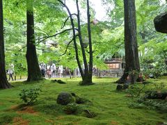 雨上がりの京都で深緑を楽しむ：大原三千院・来迎院～岩倉実相院、植物園