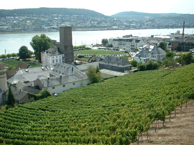 ライン川沿いにあるワインの町、リューデスハイム・アム・ライン(Rüdesheim am Rhein)に行ってきました。