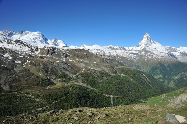 スイス花とハイキングの旅・ブラウヘルトースネガ