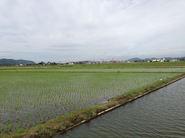 岡山平野<br /><br />瀬戸内市邑久町の田植え後の田んぼを中心に撮って見た<br /><br />邑久町のととかかと言う食堂で、90歳のお祝いを行った<br /><br />この近辺でもやたらとB級グルメが多くなったようだ。<br />備前カレー、とどめせ(ばらずし)、カキオコ(牡蠣入りお好み焼き)