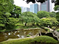 カメラと散歩　白山神社の紫陽花と小石川後楽園の花菖蒲②　おまけ東京ドーム