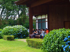 栃木県　黒羽城址　紫陽花まつり　下