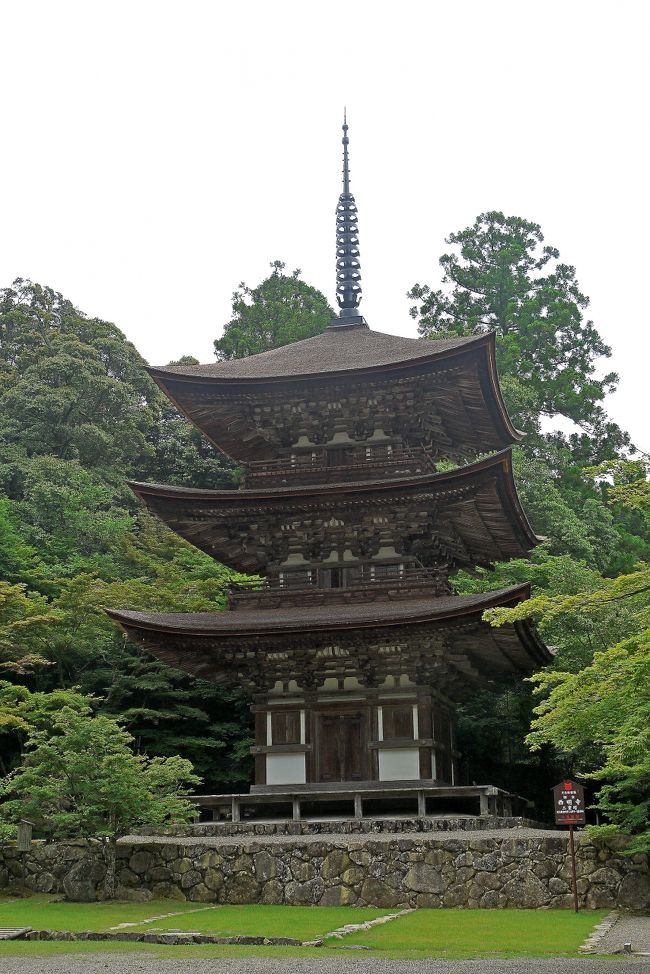 まず最初のお参りは西明寺.雨上がりで緑がきれい.名神高速の上を参道があることには驚いたが.庭園も三重塔も本堂も仏像もすばらしかった.本当に来てよかった.心が洗われた気がした.特に釈迦如来立像,十二神将,二天像などは素晴らしかった.500円.合掌.<br />834年開創.源頼朝が戦勝祈願.信長の焼き討ちにも会う.本堂,三重塔,二天門が火難を免れた.<br />http://www.saimyouji.com/index.html