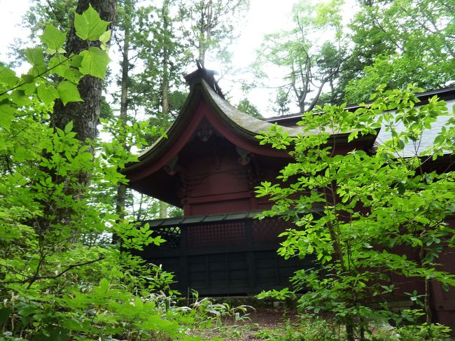 風越山（ふうえつざん、かざこしやま）は、信州百名山の1つで、長野県飯田市西部にある標高1,535mの山。<br /><br />中央アルプスの前衛に位置し、新・花の百名山に選定されている。<br /><br />飯田市のシンボル的な山で、市民の山、秋にはトレランの大会が行われる。<br /><br /><br />表紙の写真は、山頂手前の白山社奥宮。