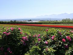 初夏（？）の爽快な北海道ドライブ旅行(3日目、富良野・美瑛）