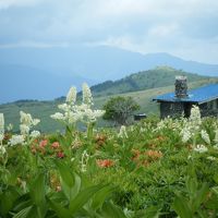 初夏の車山