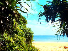 石垣島のシークレットビーチ その２  “崎枝ビーチ”