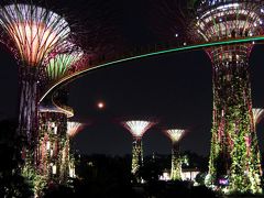 【シンガポール旅行記2013】その2　ガーデンズバイザベイのスカイウォークとライトアップショー