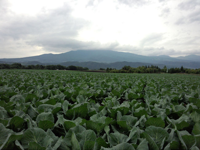 前泊をし、群馬県の嬬恋高原キャベツマラソンに参加しました。<br /><br />標高1400メートル、高低差170メートルの過酷な大会でした。<br /><br />