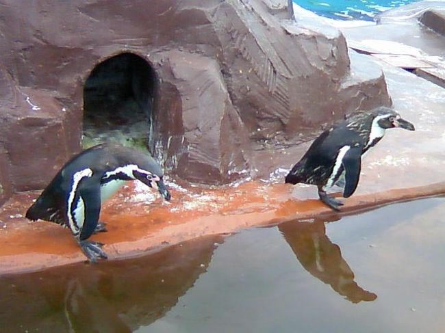 日帰り 知多 温泉