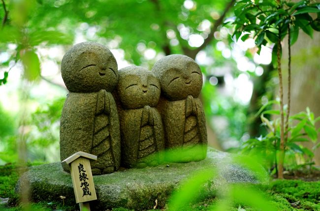 よし。半年前の旅行記を消化しよう!笑<br /><br /><br />手始めに今日は(1/15w)<br />二つくらい消化しようwww<br /><br /><br />半年前の事思い出せない。。。<br /><br /><br />写真でおおくりしてもよろしいですか。汗<br />