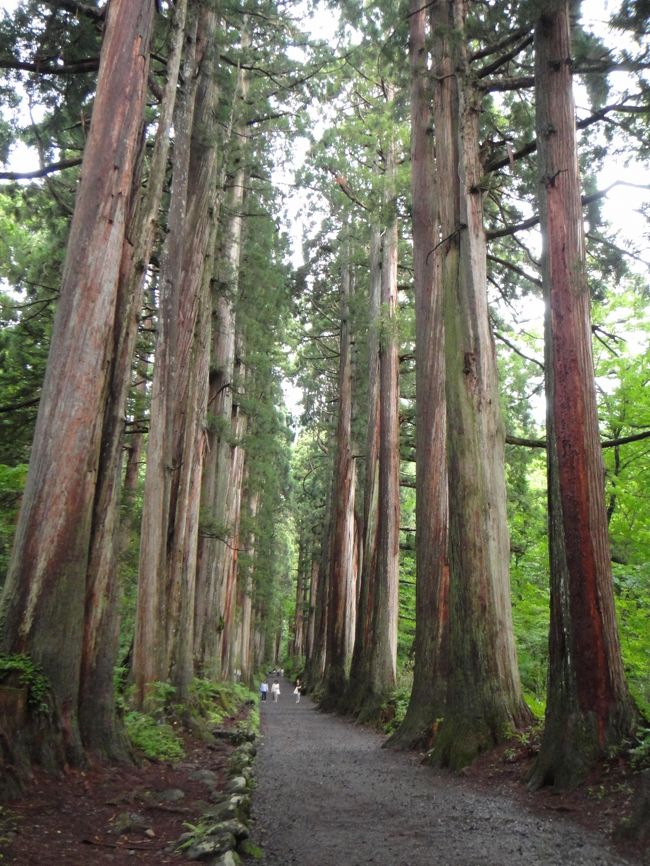 戸隠神社に行ってきました。奥社参道入り口から奥社までを往復小一時間かけて歩きました。随神門を抜けると大人の休日倶楽部で吉永さゆりさんが歩いていた杉並木が現れ、とっても癒されました。運動不足ぎみの私でも無理なく行ってこれるハイキングコースだと思います。