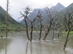 四川省　その四　四姑娘山　(黄龍～若爾蓋～黄河第一湾～馬爾康～四姑娘山)