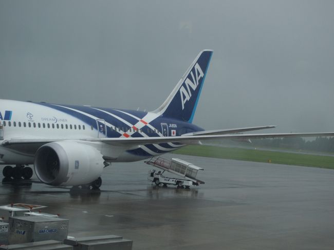 再就航となった787便で東京へ出発!!!