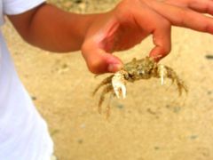 沖縄わんぱく旅行！　5