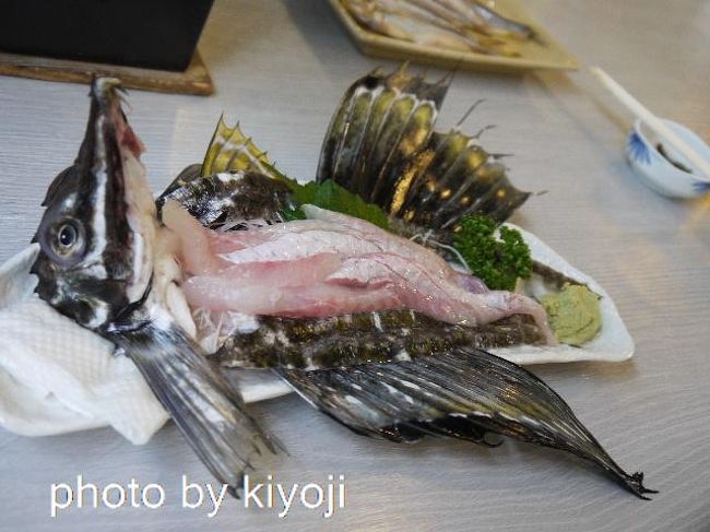いよいよ北海道もラストランです。<br />千歳の「マオイの丘」から<br />夕張メロンを買いに「夕張メロード」へ<br />そして、ししゃもを食べに武川町の道の駅内の「タンポポ」へ。<br /><br />写真は「はっかく、八角魚」です。
