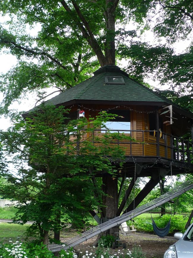 毎年恒例になりつつある、夏の北海道へ行ってきました!<br /><br />長年の夢が叶ったすぺしゃるな旅!<br />美味しいものをたくさん食べて、動物たちとたくさん触れ合って、<br />自然にたっぷり癒されて、最高の思い出になりました!<br /><br />一日目のスケジュールはこんな感じです☆<br /><br />羽田空港<br /> ↓<br />とかち帯広空港<br /> ↓<br />旧幸福駅<br /> ↓<br />道の駅 なかさつない<br /> ↓<br />十勝野フロマージュ<br /> ↓<br />旧愛国駅<br /> ↓<br />ぶた丼 とん田(ランチ)<br /> ↓<br />柳月スイートピアガーデン<br /> ↓<br />六花亭 本店<br /> ↓<br />三部牧場 ツリーハウス(宿泊)/くったり温泉 レイクイン(入浴)