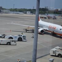 チェジュ航空、成田便就航記念、超格安ツアーに参加してみました。