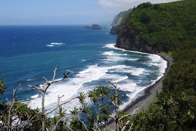 とうとう５泊６日のハワイ島滞在も最終日、明日の朝早い便でオアフ島に向かいます。<br /><br />そもそもマイル旅の行先を模索中、「ハワイって４万マイルで行けるよ！」との私の言葉に、「ビーチは好かん!」と一言却下の夫。(^^ゞ<br />でもさ〜、ハワイ島だったら「キラウエア火山」で真っ赤に流れる溶岩が見られるかもしれないよ〜。<br />ハワイにもトレッキングコースがあるってさ〜。<br />そしてオアフ島には、あなたの大好きなディズニーのホテルがあるんだよ〜。<br /><br />てな具合でうまく誘導して、初ハワイ旅が決定しました！\(^o^)／<br /><br />ハワイと言えば、ビーチ、ショッピング、グルメですが、我が家の旅においてそれらはまぁどうでもいいこと。<br />最重要事項はどこか歩けるところがあるかどうか！<br />ありましたね〜、ハワイ島にも♪<br />キラウエア火山での火口トレッキングでしょう♪<br />チェーン・オブ・クレーターズロードでしょう♪<br />コンドミニアムの周りにもあったっけ♪<br /><br />そしてそして、最終日に満を持して「ワイピオ渓谷」と「ポロル渓谷」の二つのトレッキングをハシゴしちゃいました。<br />カメハメハ大王が幼少期を過ごしたワイピオ渓谷。<br />ハワイ島最北端に位置する美しいポロル渓谷。<br />いいですね〜、渓谷というからには谷に降りていくんですね、歩きごたえがありますね〜。<br /><br />特にワイピオ渓谷は、四駆以外の車は通行禁止と言われるものすごい坂道。<br />下に降りていくには、ツアーバンで降りていくしかないと思いきや歩いて上り下りする人もいないことはないという。<br />じゃあ、いっちょ、歩いてみましょうか！！！(^_^)v<br /><br />★ワイピオ渓谷・ポロル渓谷ドライブルート★<br /><br />　→　ただいま作成中