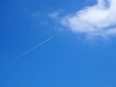 今年の目的はじゃがいもの花だったんだけど・・・・[２日目]