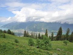 スイス花とハイキングの旅・シーニゲ・プラッテ、ブリエンツ