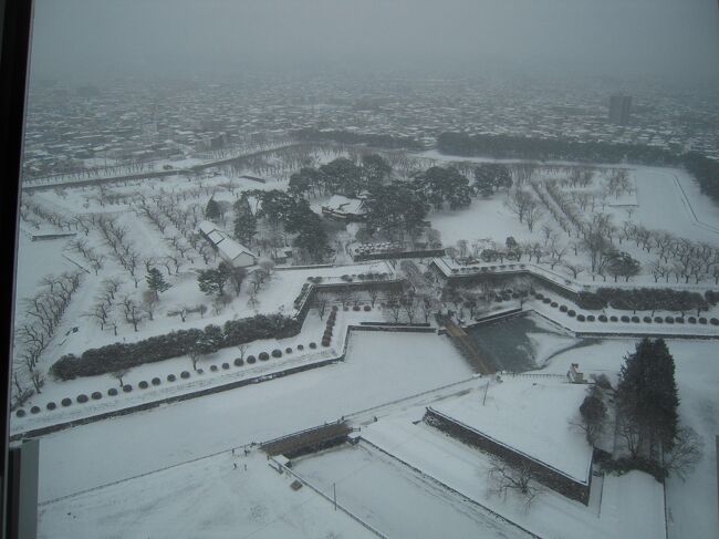 冬季北海道、ＪＲで札幌から函館に移動し函館駅から半日観光バスに乗って五稜郭を訪問しました。<br /><br />「五稜郭誕生」<br /><br />五稜郭誕生のきっかけは、嘉永６年（１８５３）のアメリカ艦隊の来航、いわゆる「黒船来航」という大事件にあります。開国要求に屈した徳川幕府は、安政元年（１８５４）日米和親条約を締結し、箱館（明治になるまで、凾館は「箱館」と表記）を開港場としました。<br /><br />この箱館を治めるために幕府が設置した「箱館奉行」は、産業の育成や開拓を進めると同時に箱館の防備強化を図り、蘭学者の武田斐三郎に奉行所庁舎の移転に伴う新しい要塞の設計を命じました。<br /><br />西欧の学問や技術を研究する「箱館諸術調所」の教授を務める優れた教育者でもあった武田斐三郎は、ヨ?ロッパの「城郭都市」をモデルとする要塞を考案し、工事に約７年の歳月を費やした五稜郭は、蝦夷地の政治や外交、防衛の拠点、まさに蝦夷地の要として誕生したのです。<br /><br /><br /><br />「幕末の動乱 箱館戦争」<br /><br />アメリカの要求に屈した徳川幕府に対する不満は討幕運動へと発展し日本を分割する争い、戊辰戦争が起ります。<br /><br />大政奉還、江戸城明け渡しなど、風前の灯火となった幕府勢力の中、旧幕府海軍副総裁榎本武揚は、陸軍諸隊を収容した艦隊を率いて蝦夷地へ渡り五稜郭を占拠しました。<br /><br />彼らは、明治元年（１８６８）１２月、仮の政権を樹立し、徳川家臣による蝦夷地開拓の許可を政府に求めますが、翌２年（１８６９）春、政府は討伐軍を派遣して旧幕府脱走軍への攻撃を開始、箱館戦争が勃発。<br /><br />圧倒的な戦力で攻撃してくる新政府軍の前に土方歳三ら歴戦の面々の抵抗も空しく五稜郭は包囲され旧幕府軍は降伏。幕末維新の動乱は終結しました。　　　　（五稜郭タワ?パンフレットより）