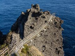 南伊豆ぐるり旅【9】～伊豆半島の最南端に位置する断崖絶壁～石廊崎