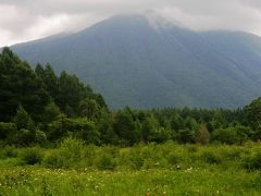 日光白根山が雨で中止し戦場ヶ原・小田代ヶ原を散策