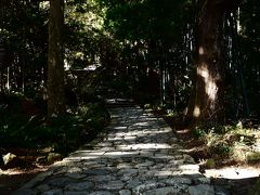 2013初旅 vol.7／熊野古道・大門坂／杉木立に包まれた石段の参道