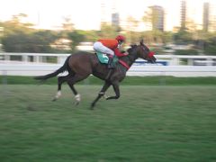 2013 ブラジル・ガベア競馬場 のどかで観光名所も見られるリオの競馬場