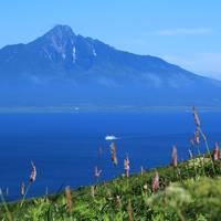 海、山、花、そしてウニ！利尻・礼文　２泊３日の旅 (１日目：利尻島） 