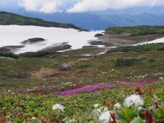 初夏の北海道　スペシャル旅　2日目　山・花巡り　スタートは大雪山旭岳