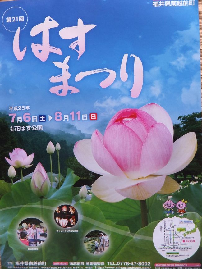 福井県南越前町の花はす公園で開かれている第２１回<br /><br />はすまつりと越前市の治佐川に咲いているバイカモを<br /><br />見に家内と二人で行って来ました。