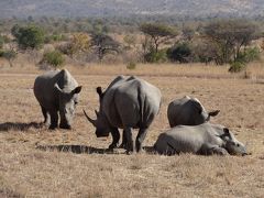 南部アフリカ３カ国周遊～マブラ私営動物保護区～