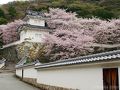 Journey to follow the cherry blossoms - 龍野編