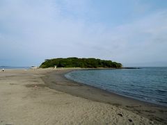 ２０１３　遠～い地元でスノーケリング・・・②　館山・沖ノ島編