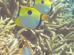 まさかの台風発生！～それでも夏の西表の海は～その１